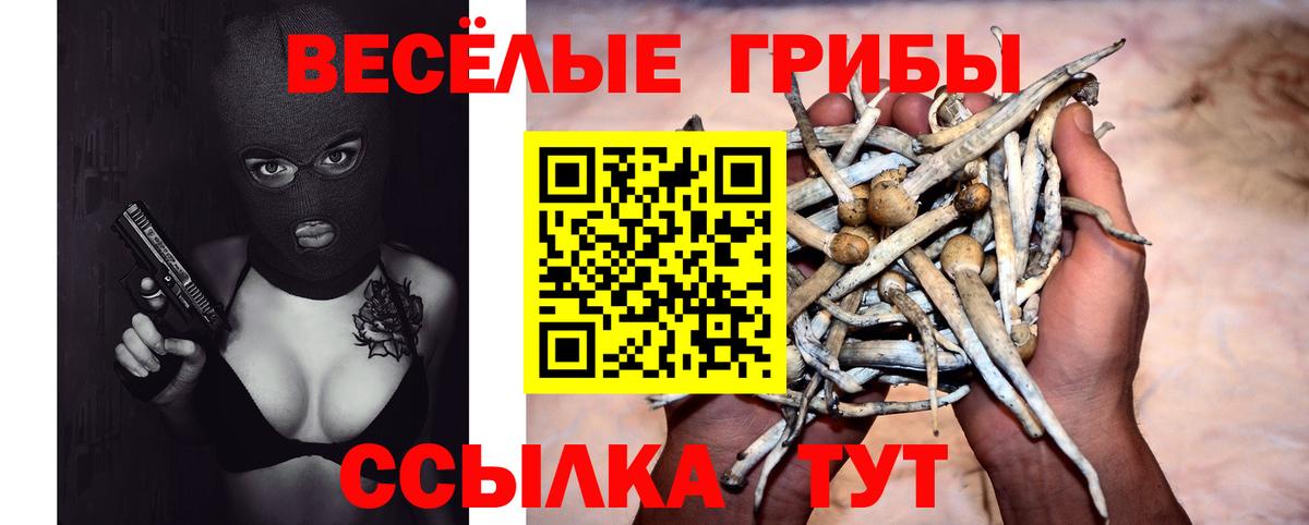 Псилоцибиновые грибы мухоморы  Вход с VPN  Клин  Галлюциногенные грибы ЛСД 