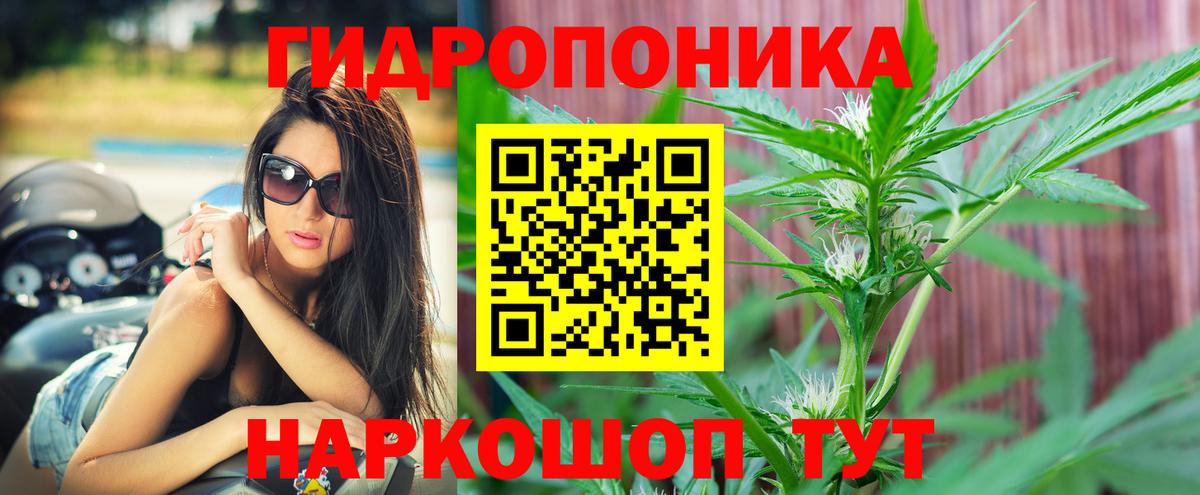 Каннабис ГИДРОПОН Клин